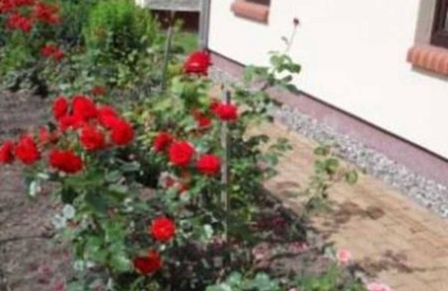 Reimershagen Casa | FeWo - Casa en una ubicación idílica tranquila