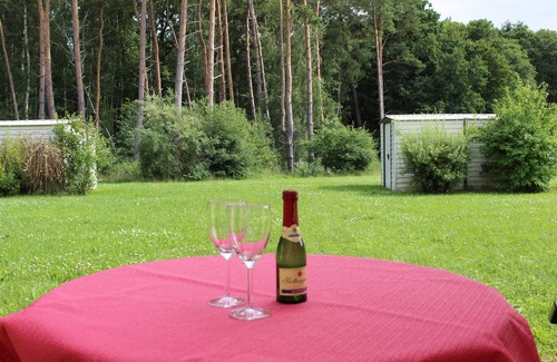 Gelbensande Apartamento | * FEWO en el bosque costero - * FEWO en el bosque costero EG 3 Kittendorf / - GM 69470