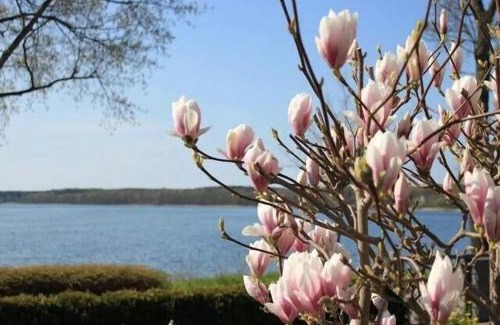Plau am See Apartamento | Fewo in Villa mit Seeblick