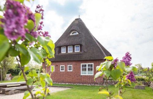 List Apartamento | FEWO Ringelblume