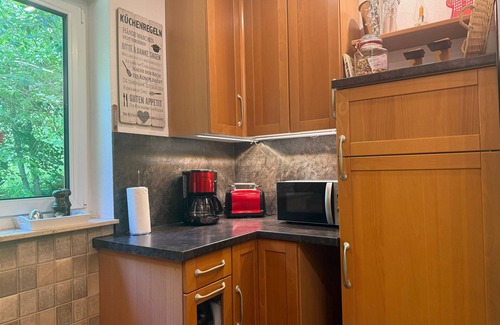Todtnau Apartamento | Fewo Schwarzwald 1060m - Ferienwohnung