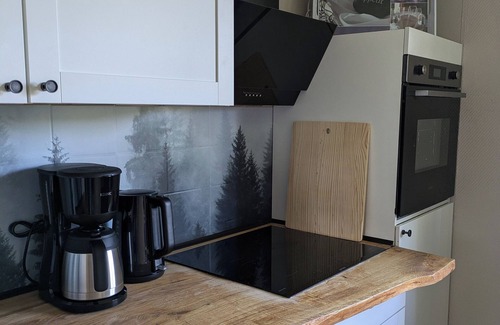 Bockswiese Apartamento | FeWo Waldseeblick directly on the Liebesbankweg and Oberharzer Wasserregal