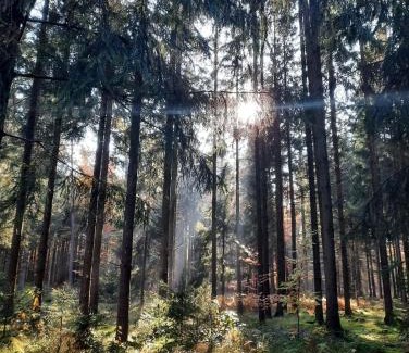 Waldbrunn Apartamento | Fewo Waldtherme cycling, relaxing,