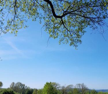 Waldbrunn Apartamento | Fewo Waldtherme cycling, relaxing,