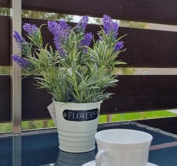 Altenau Apartamento | FeWo Wanderlust