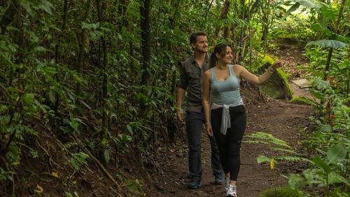 Monteverde Hotel | Ficus Sunset Suites