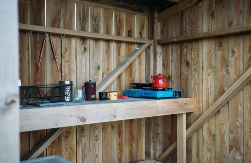 Newquay Cabina | Field Maple - A spacious Mongolian-inspired Yurt in stunning eco-friendly estate near Newquay