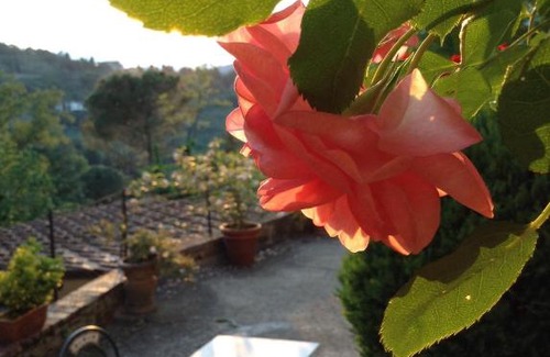 Fiesole Cama Y Desayuno | Fiesole in Giardino B&B