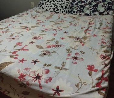 Garanhuns Casa | FIG e Natal Luz Cidade das Flores