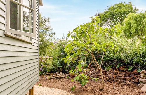 Bridport Cabaña | Fig Tree Shepherds Hut