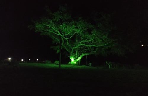 Praia Grande Chalet De Esquí | Figueira do Rio do Boi Chalé Ametista