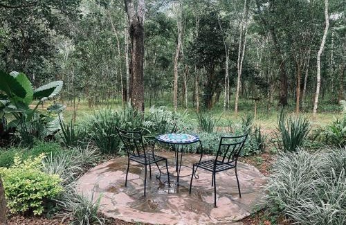 Central Cabina | Fika Lodge