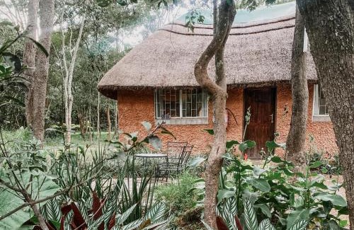 Central Cabina | Fika Lodge