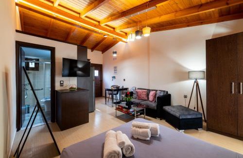 Nea Alikarnassos Apartamento | Filotimo RoofGarden Brown Apt