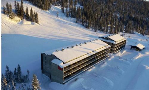 Skeikampen Apartamento | Fin leilighet ca 30 min med bil til Hunderfossen