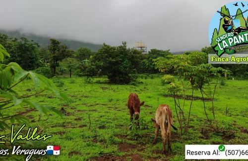 Veraguas Casa | Finca Agroturística Sendero La Pantera