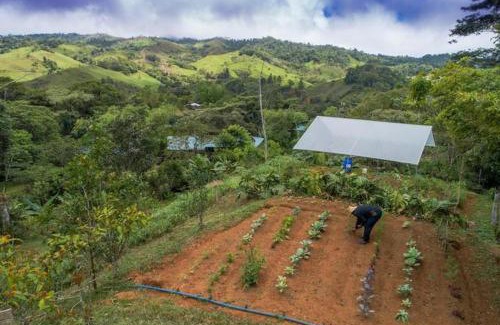 Platanares Casa | Finca Anjala - Architectural lodge on sustainable