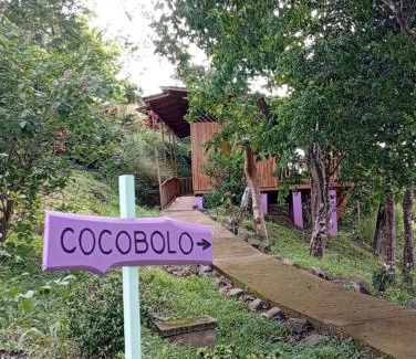 Paquera Cabina | Finca Colibri Ecolodges en Pleine Nature ferry Playa Najanjo Costa Rica