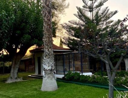 Elda Casa | Finca de Roxana