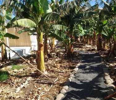Playa San Juan Casa | Finca Don Victor