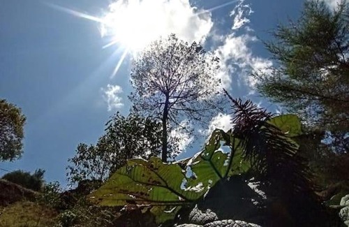 San Isidro Casa | Finca el calar