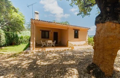 El Collado Casa | Finca El Chopo - piscina compartida