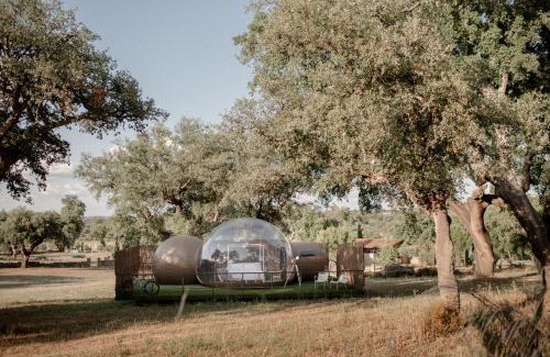 Valencia de Alcántara Hotel | Finca El Cortiñal