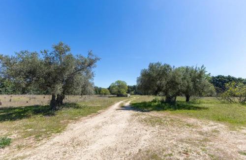 San Martín de Valdeiglesias Villa | Finca el Palomar de la Viña