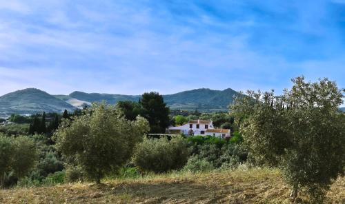 Antequera Cama Y Desayuno | Finca Amorosa
