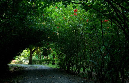 Carate Cabina | Finca la Bonita, Near Corcovado National Park.