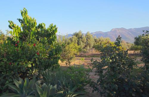 Alhaurín el Grande Casa | Finca La Madreselva