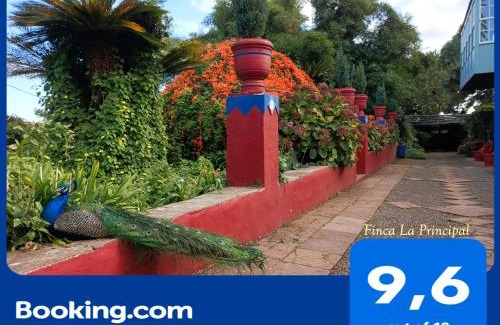 Breña Alta Casa | Finca La Principal