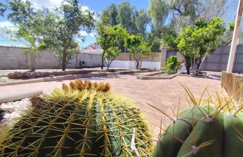 Molina de Segura Casa | Finca La Senorita