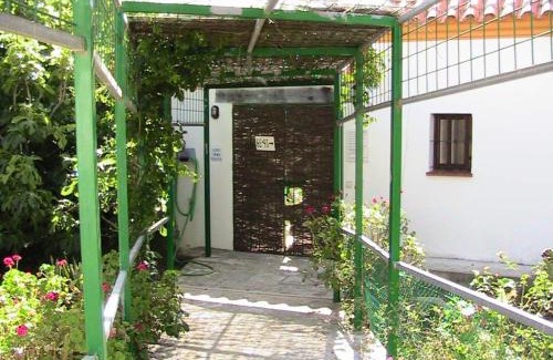 Barrio Nuevo Casa | Finca La Tacita - Petunia
