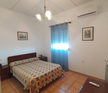 Barrio Nuevo Casa | Finca La Tacita - Petunia