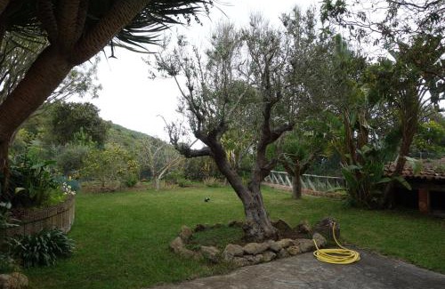 El Tanque Casa | Finca Las Canitas - Ferienhaus Teneriffa