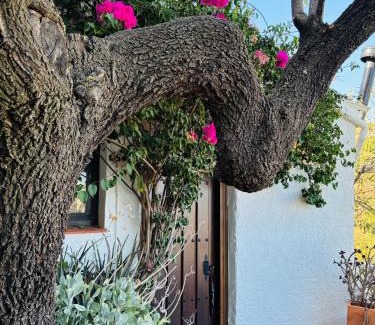 Alba de Tormes Apartamento | Finca Los Arcos