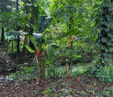 Valle Azul Casa | Finca Mía Isa -Bella
