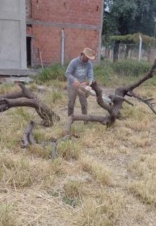 La Banda Casa | Finca Morita