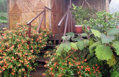 Puertas Azules Hotel | Finca Neblina del Bosque