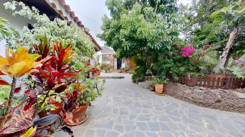 Valle de Guerra Apartamento | Finca Paraiso Casa Rural Tenerife