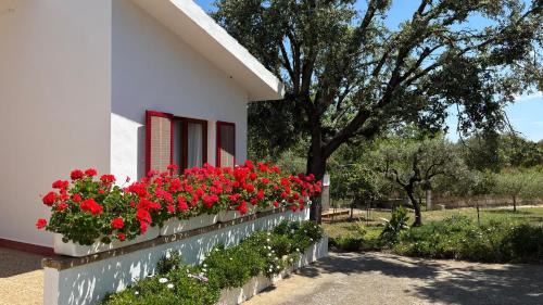 Sencelles Casa | Finca Sa Cova de Mallorca