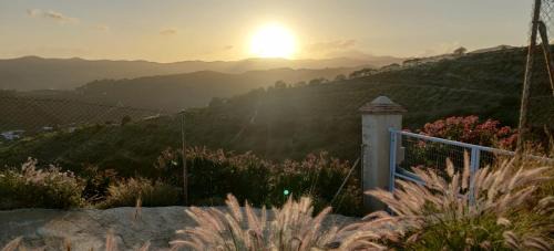 Cajiz Cama Y Desayuno | Finca Sol y Cielo