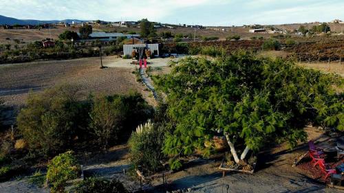 Valle de Guadalupe Casa | Finca Vidandrei CASA MAZAHUA