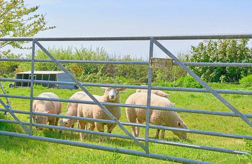 Hartland Casa | Finest Retreats - Hawthorn Barn