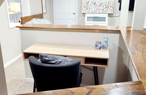 Oak Park Casa | Finished Basement in Historic Oak Park with 2 cats
