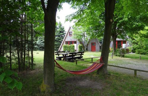 Wittenbeck Casa | Finnhütte Fisch - Wittenbecker Tannen