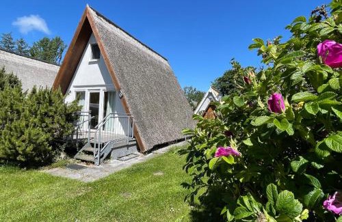 Gager Casa | Finnhütte Nr.42 auf Mönchgut