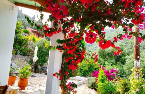 Agni Casa | Fior Di Corfu