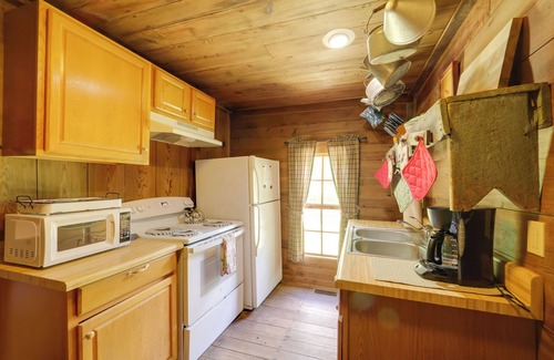 Vein Mountain Cabina | Fire Pit & Hot Tub: Dog-Friendly Marion Retreat